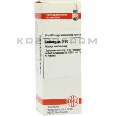 Кратегус ● Crataegus