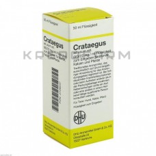 Кратегус ● Crataegus