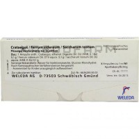 Кратегус Феррум ● Crataegus Ferrum