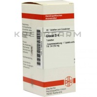 Крокус ● Crocus