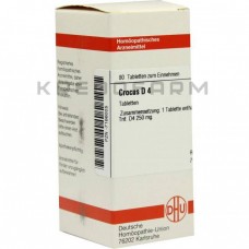 Крокус ● Crocus