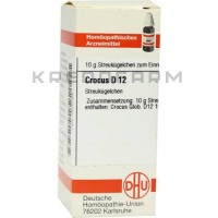 Крокус ● Crocus