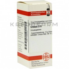 Крокус ● Crocus