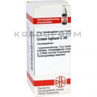 Кротон Тиглиум ● Croton Tiglium