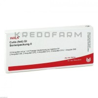 Кутис ● Cutis