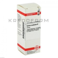 Цинара Сколімус ● Cynara Scolymus