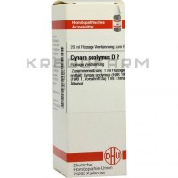 Цинара Сколімус ● Cynara Scolymus