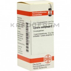 Цинара Сколімус ● Cynara Scolymus