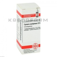 Цинара Сколімус ● Cynara Scolymus