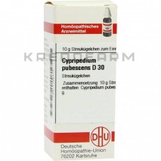 Циприпедіум Пубесценс ● Cypripedium Pubescens