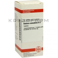 Датиска ● Datisca