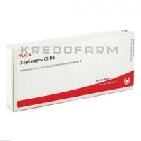 Диафрагма ● Diaphragma