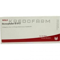 Диенцефалон ● Diencephalon