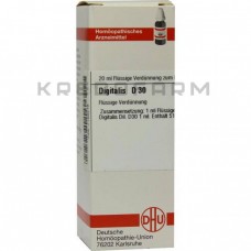 Дигіталіс ● Digitalis