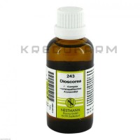 Диоскорея ● Dioscorea