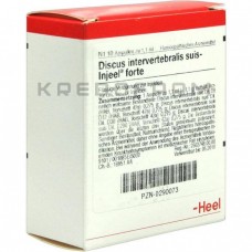 Дискус Інтервертебраліс ● Discus Intervertebralis