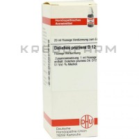 Долихос Пруриенс ● Dolichos Pruriens