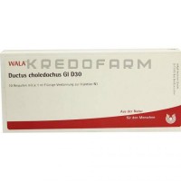 Дуктус Холедохус ● Ductus Choledochus