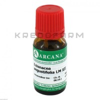 Эхинацея Ангустифолия ● Echinacea Angustifolia