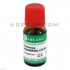 Ехінацея Ангустіфолія ● Echinacea Angustifolia