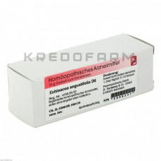 Ехінацея Ангустіфолія ● Echinacea Angustifolia