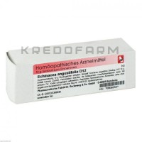 Эхинацея Ангустифолия ● Echinacea Angustifolia