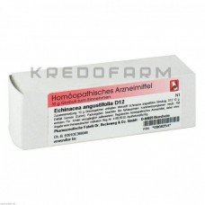 Ехінацея Ангустіфолія ● Echinacea Angustifolia