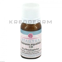 Эхинацея Ангустифолия ● Echinacea Angustifolia