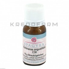 Ехінацея Ангустіфолія ● Echinacea Angustifolia