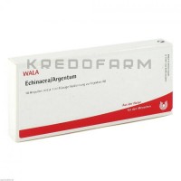 Эхинацея Аргентум ● Echinacea Argentum