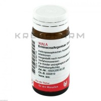 Эхинацея Аргентум ● Echinacea Argentum