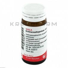 Ехінацея Аргентум ● Echinacea Argentum