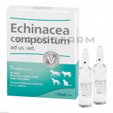Ехінацея Композитум ● Echinacea Compositum
