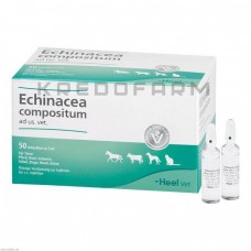 Ехінацея Композитум ● Echinacea Compositum