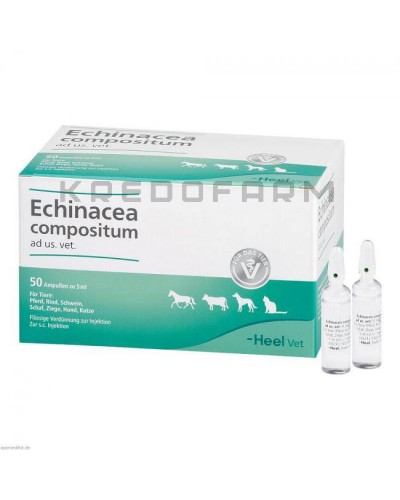 Эхинацея Композитум ампулы, капли, таблетки ● Echinacea Compositum