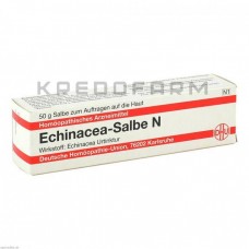 Эхинацея Хаб ● Echinacea Hab