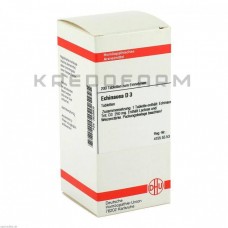 Ехінацея Хаб ● Echinacea Hab