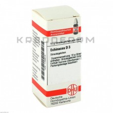 Ехінацея Хаб ● Echinacea Hab