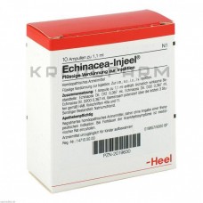 Ехінацея Іньєль ● Echinacea Injeel