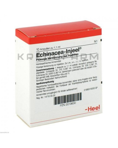 Ехінацея Іньєль ампули ● Echinacea Injeel