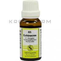 Эхинацея ● Echinacea