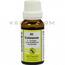 Ехінацея ● Echinacea