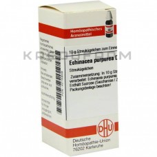 Ехінацея Пурпуреа ● Echinacea Purpurea