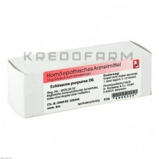 Ехінацея Пурпуреа ● Echinacea Purpurea