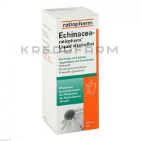 Эхинацея ● Echinacea