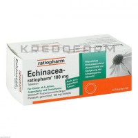 Эхинацея ● Echinacea