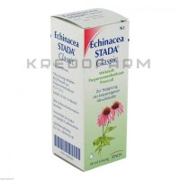 Эхинацея ● Echinacea