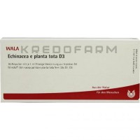 Эхинацея ● Echinacea