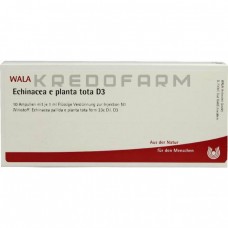 Ехінацея ● Echinacea