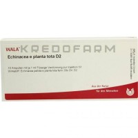 Эхинацея ● Echinacea